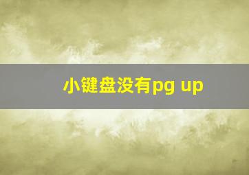 小键盘没有pg up